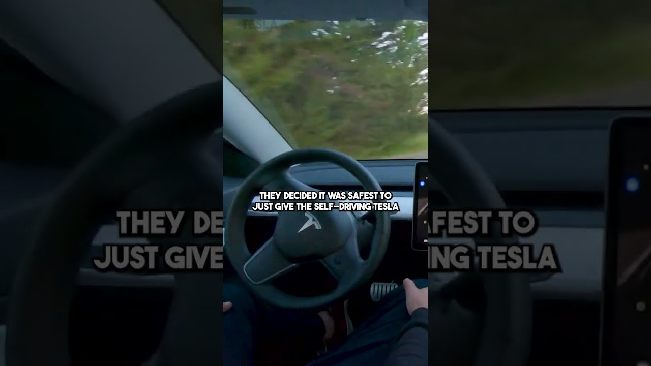 Driving A Tesla While Asleep (Gone Wrong)