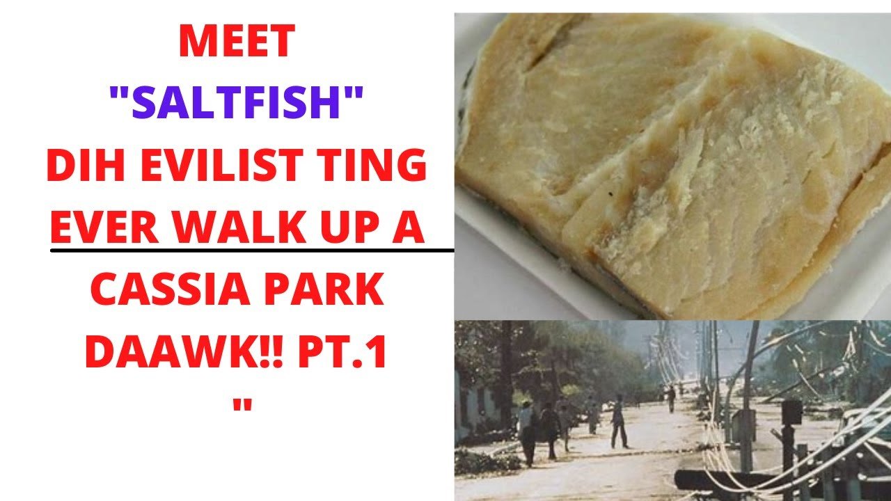 MEET SALTFISH KING EV!L FROM CASSIA PARK STORY PT  1