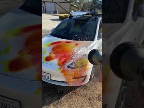 Tesla Paint Removal #shorts