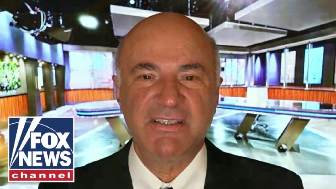 Kevin O'Leary blows up the electric car 'fantasy'