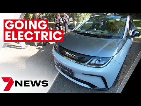 Electric BYD Dolphin car goes on sale for under $40,000 | 7NEWS