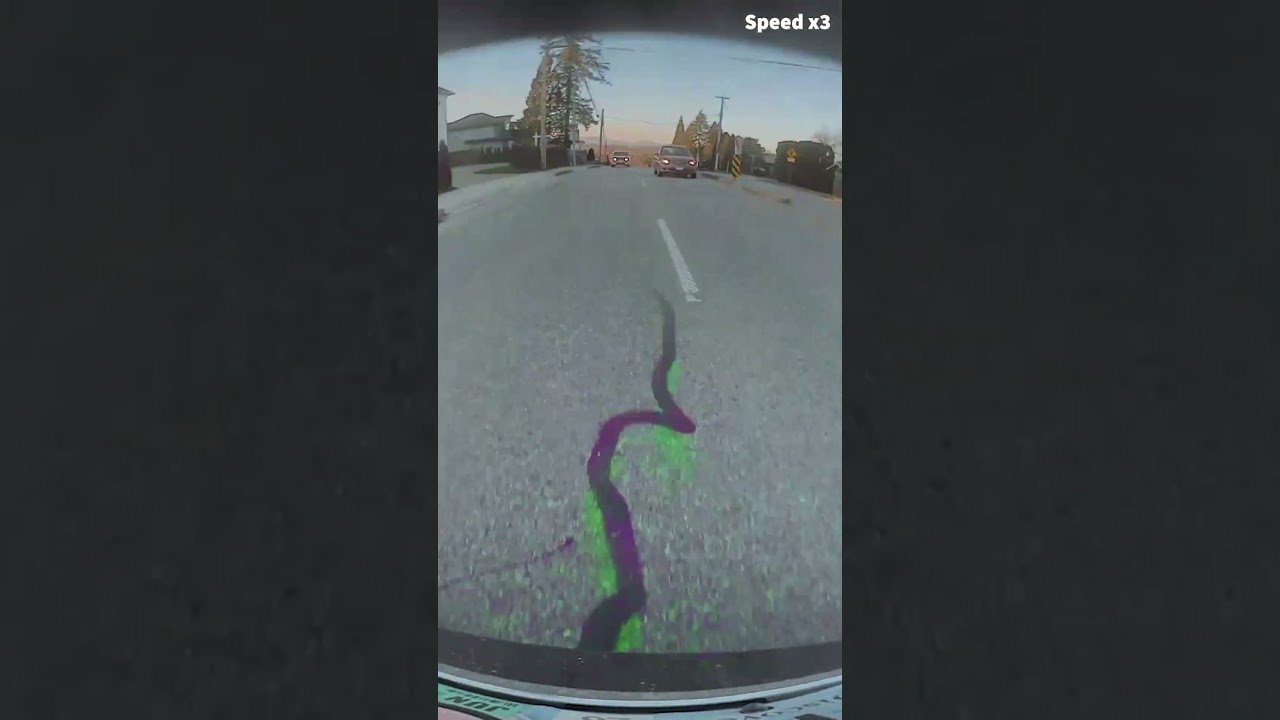 Tesla Road Rage Attack