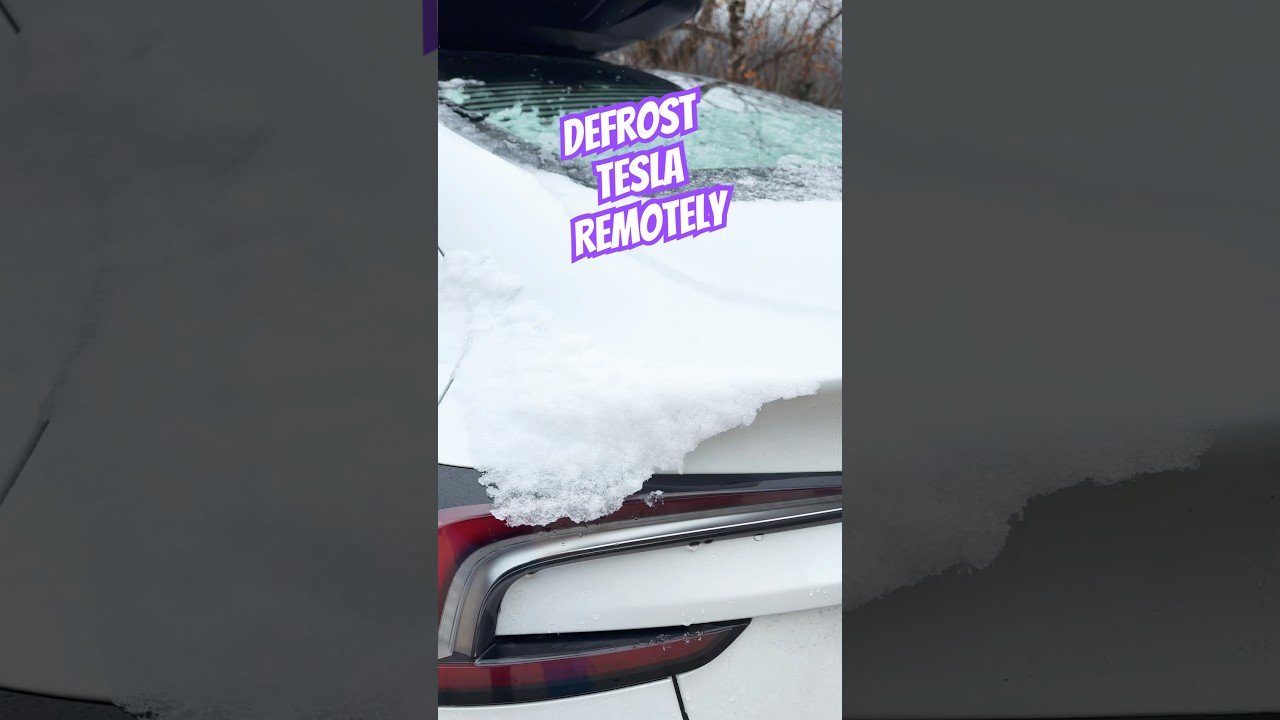 #tesla #snow