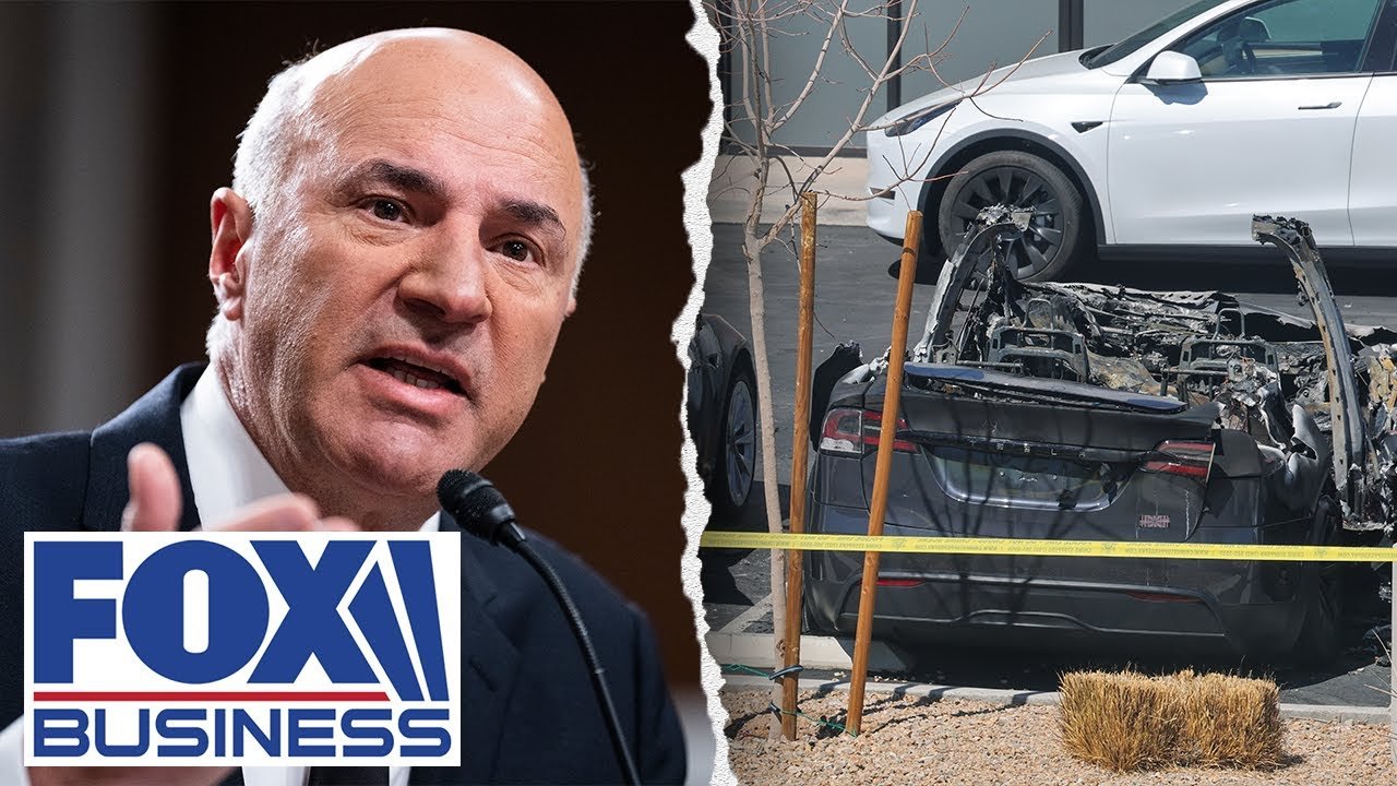 O’Leary scorches Tesla vandals: ‘I’d like to see them in prison as terrorists’