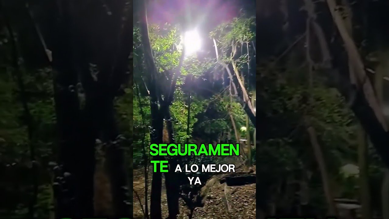 #exploration #explore#explorepage #relatosbizarros #miedo #history #historia  #misterio #paranormal