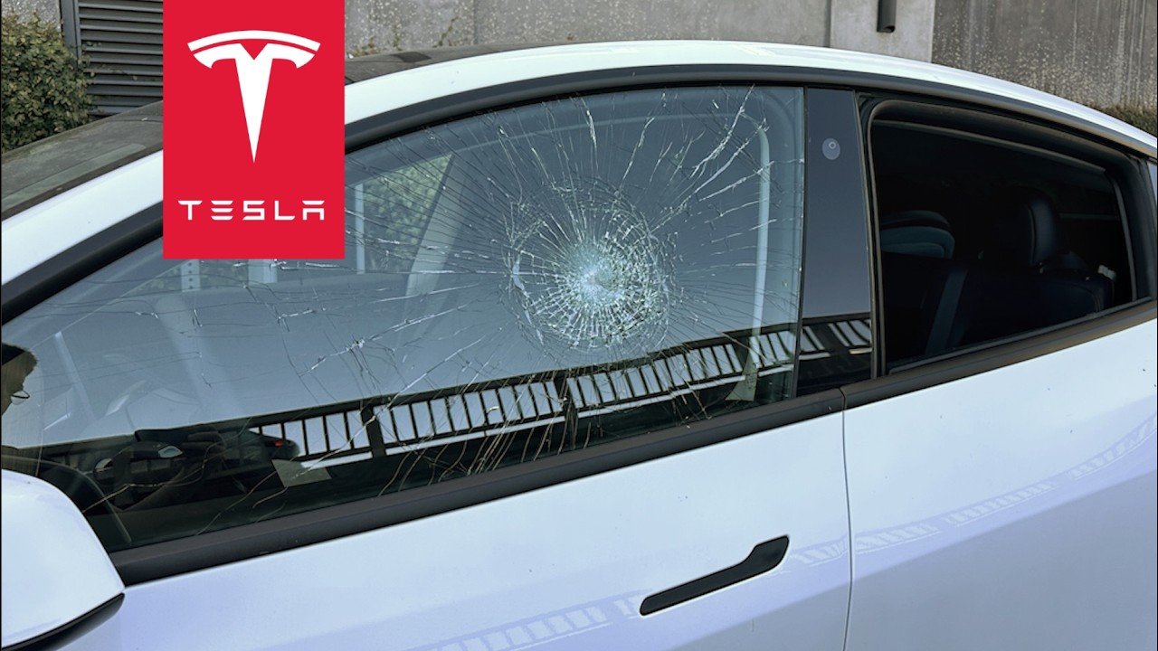 INSANE TESLA ATTACK CAUGHT ON SENTRY MODE
