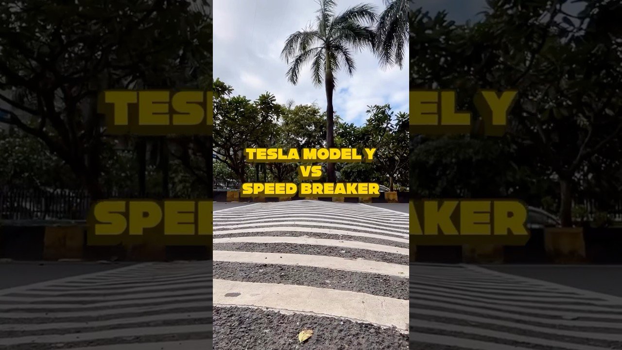 SPEED BREAKERS vs TESLA MODEL Y!